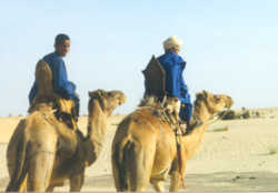 YoungTuaregcameleers.jpg