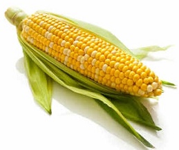 http://www.gateway-africa.com/stories/images/ear-of-corn.jpg
