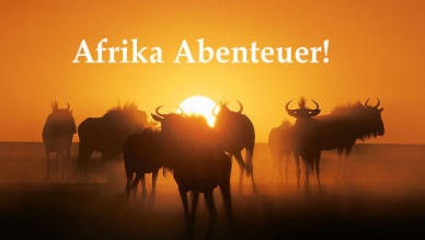 Afrika Abentuer