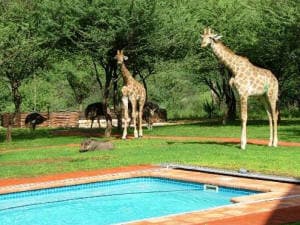 The vibrant city of Windhoek