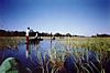 Makoro on Okavango Delta of Botswana
