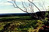 As far as the eye can see: View from the top of the Waterberg, Namibia
