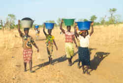 Fetching water