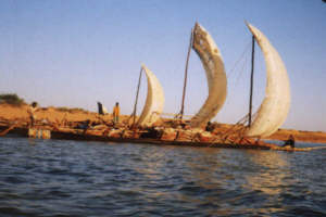 Pirogues rigged with sails