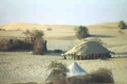 Tuareg camp in the desert