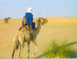 Tuareg in the desert