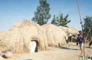 bozo tribe huts