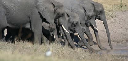 3 Tage Etosha