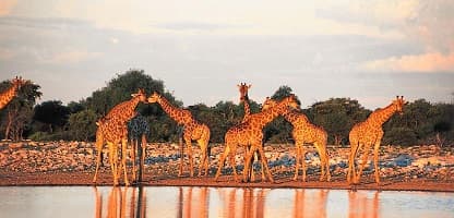 6 Tage Etosha und Sossusvlei