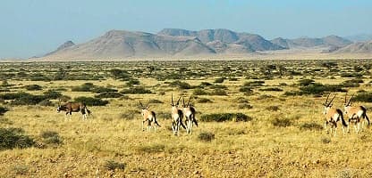 14 tage Perfekt Namibia