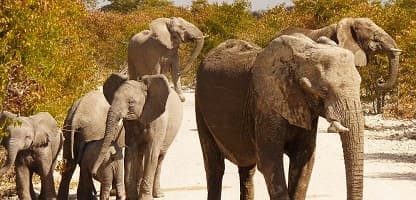 10 tage Namibia Pure