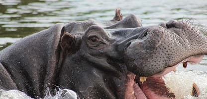 9 Tage Okavango Delta & Victoria Falls