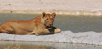 23 Day Afrika Overland safari