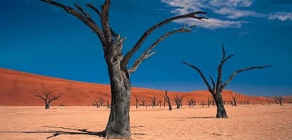 3 Tage Sossusvlei