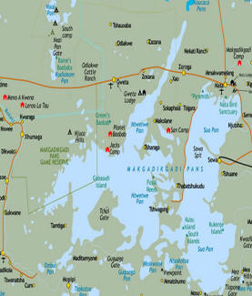 Botswana's Makgadikgadi Pans: Wildlife safaris exploring the best National Parks of Botswana