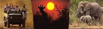 South Africa Travel and Tours