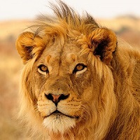 Safe affordable Namibia travel for small private groups