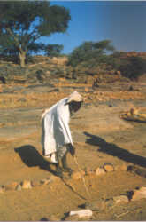 Dogon seer preparing a divination ceremony